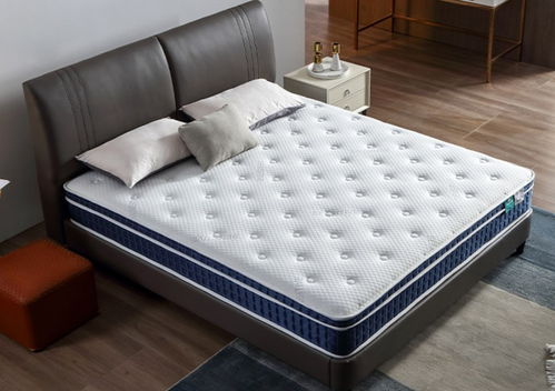 2000-3000元价位高性价比床垫推荐 乳胶、弹簧、棕榈与记忆棉床垫品牌选购指南